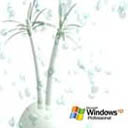 Windows XP - comp