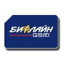 Beeline GSM - raznoe