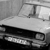 В страшной и темной чаще лесной грязный,...