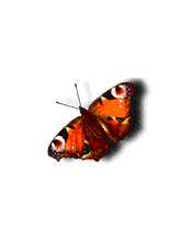  - Mobile Phone Screensaver
